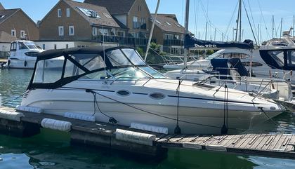 Sea Ray L Class 260 Sundancer