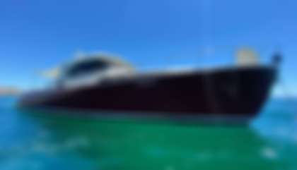 Mochi Craft Dolphin 51