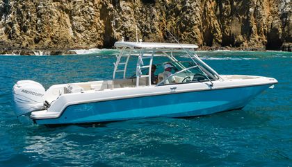 Boston Whaler Vantage 270, Boston Whaler Vantage 270 For Sale
