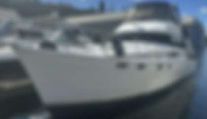 Bayliner 3888 Motoryacht