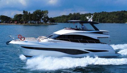 Princess F65, Princess F65 For Sale