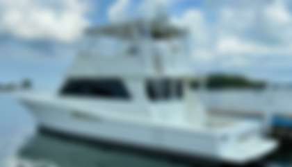 Viking 53C