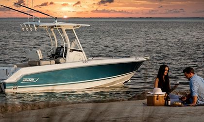 Boston Whaler 230 Outrage