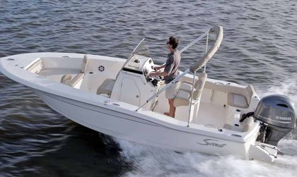 Scout 195 Sport Dorado