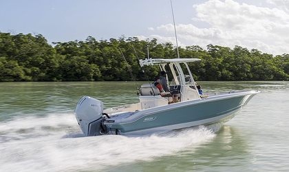 Boston Whaler 250 Dauntless