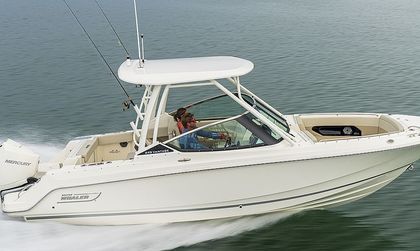 Boston Whaler 240 Vantage