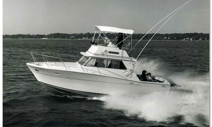 Viking 33 Convertible