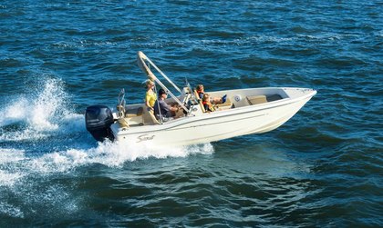 Scout 175 Sport Dorado