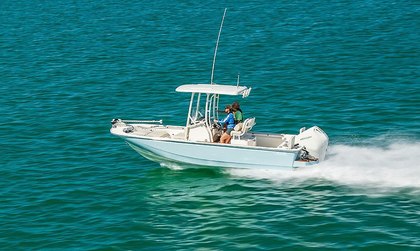 Boston Whaler 210 Montauk
