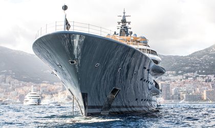 Photo of Flying Fox taken by Julien Hubert