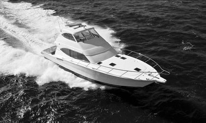 Maritimo 550 Offshore Convertible