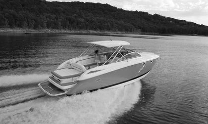 Cobalt 323