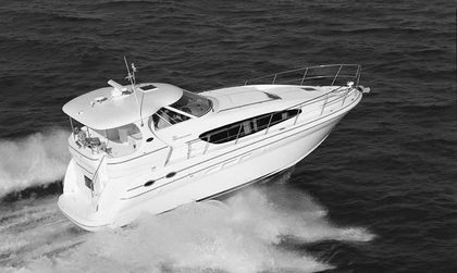 Sea Ray 390 Motoryacht