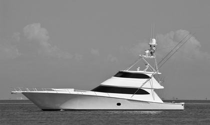 Viking 82EB