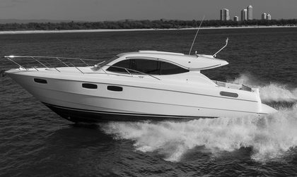 Maritimo C43