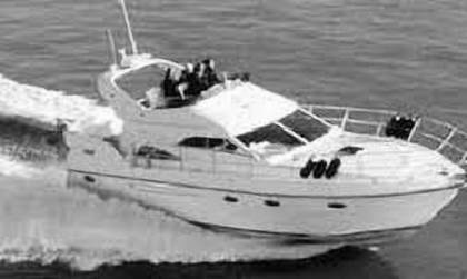 Pearl 43