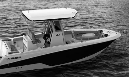 Wellcraft 243 Fisherman (Mk1)