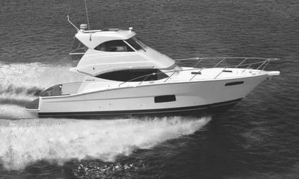 Maritimo 440 Offshore Convertible