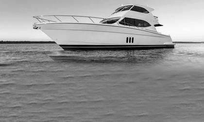 Maritimo M62