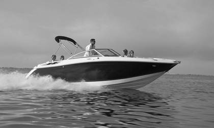 Cobalt 24SD