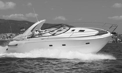 Bavaria Sport 38