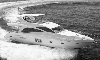 Majesty 63