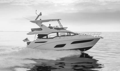 Sea Ray Fly 460