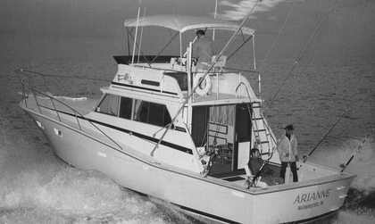 Viking 40C