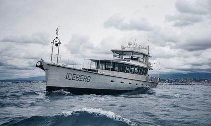 Iceberg