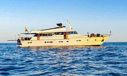 Ocean Falcon