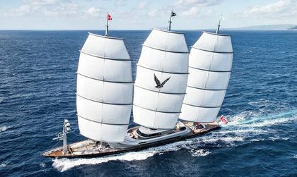 Maltese Falcon