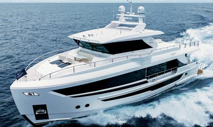Amphib