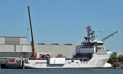 U-81