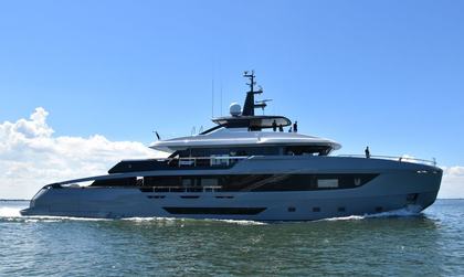 Ocean King Doge 400 GT