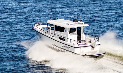 Sargo 31