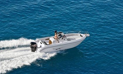 Ranieri Voyager 26 S