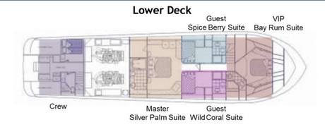 Deck Plan