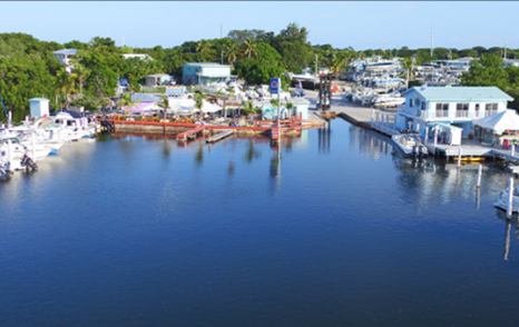 Overview of Mangrove Marina – FL Keys, boats at moorings, surrounded by foliage and marina facilities