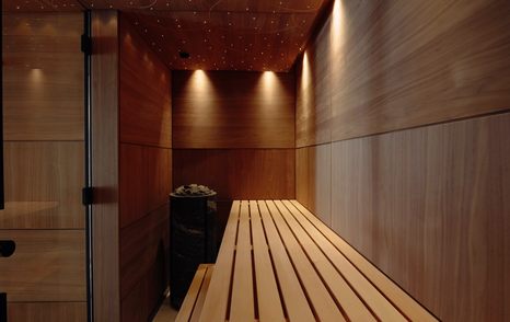 Damen-Xplorer-60-Review-sauna