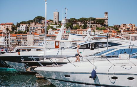 yachts in a marina