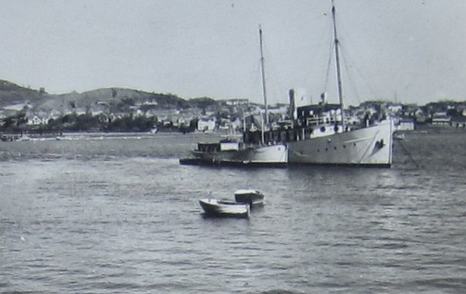 Llys Helig in water in black and white photo