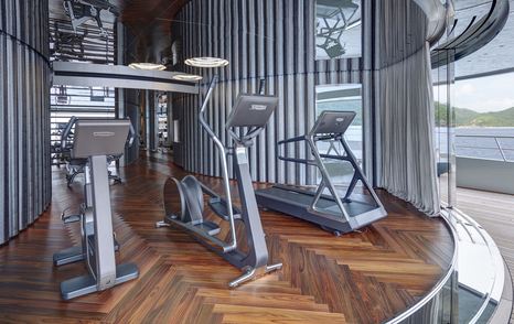 Superyacht Savannah gym
