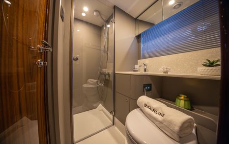 fairline-targa-40-bathroom