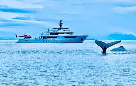 Ocean Dreamwalker III in Alaska with giant humpback whale tail