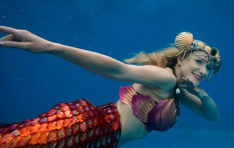 Mermaid performer in tank