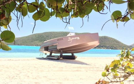 Amphibious tender viewed through foliage on beach with clear sky, hills and serene water behind