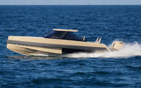 Iguana Commuter moving at speed on water