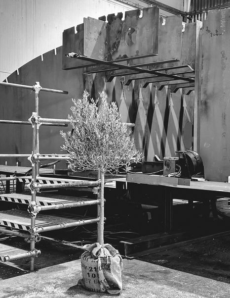 Tree next to ISA Gran Turismo 68M superyacht hull in black and white