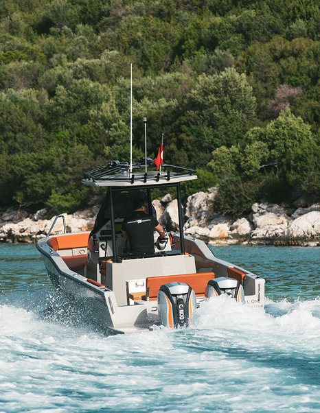 Tender boat viewed from behind with trees and rocky coast in background