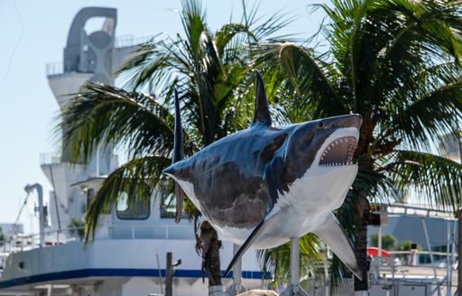 shark installation at yacht show